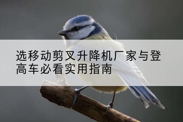 永吉电动升降机厂家-选移动剪叉升降机厂家与登高车必看实用指南