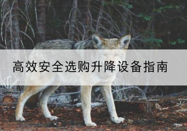 永吉升降货梯厂家推荐-*安全选购升降设备指南