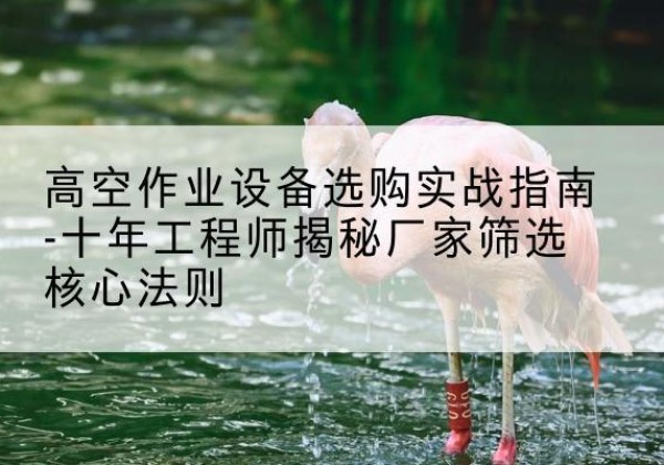 永吉剪叉式升降机厂家-高空作业设备选购实战指南-十年工程师揭秘厂家筛选核心法则